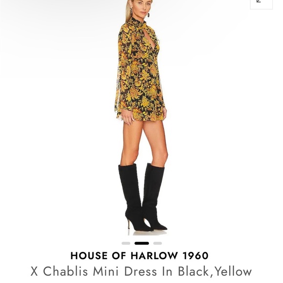 Amazing HD Photos about  Dresses House Of Harlow 1960  with NO AI Images